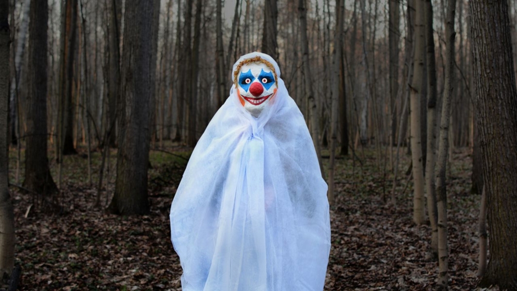 Clowns in the Woods