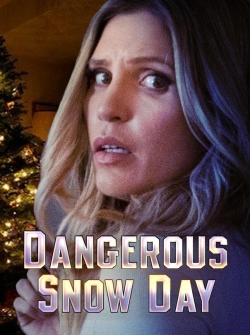 Dangerous Snow Day